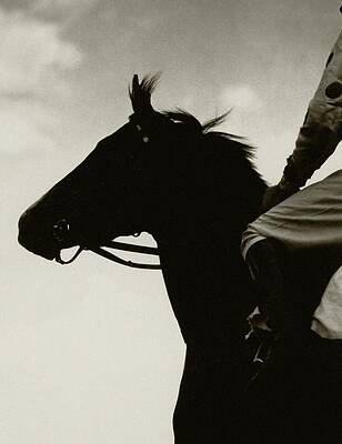 Silhouette of a Horse and Rider Wall Art