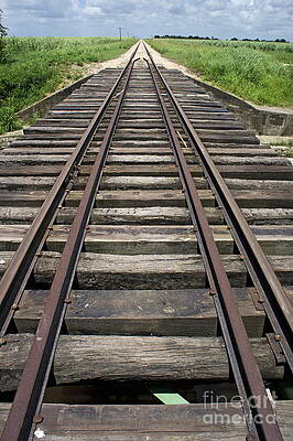 Nature Wall Art featuring the photograph Railroad Tracks by Sami Sarkis Photography