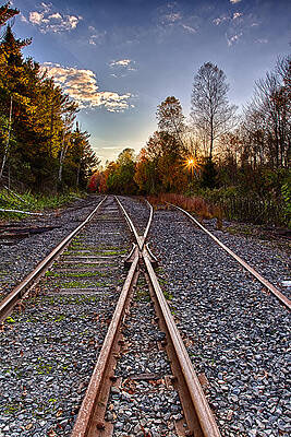 Wall Art featuring the photograph Rails In The Wilderness by Jeff Sinon