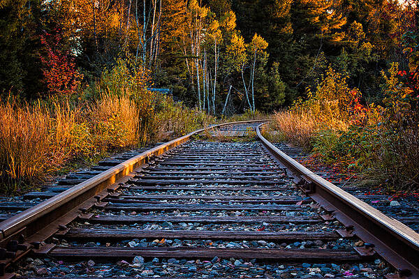 Wall Art featuring the photograph Rails Pondicherry NWR by Jeff Sinon