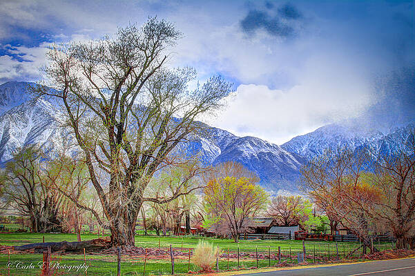 Wall Art featuring the photograph Ranch In Early Spring by Carla E