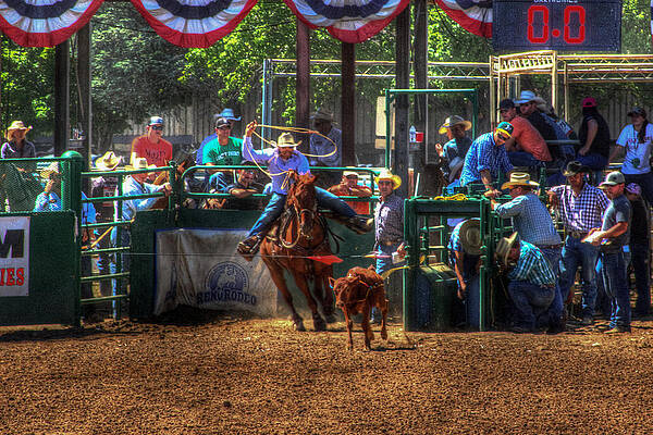 Horse Wall Art featuring the photograph Ready Set Go by Carla E