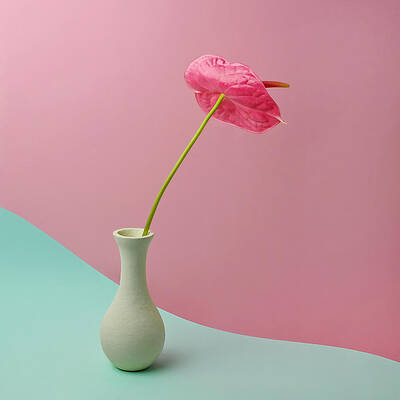 Wall Art featuring the photograph Red Anthurium In White Vase by Juj Winn