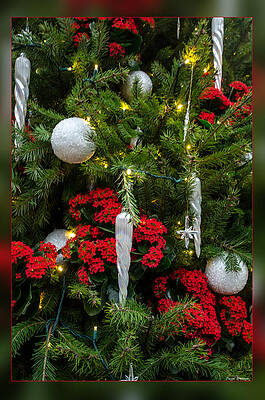 Color Photograph - Red Green And Silver Balls by Crystal Wightman