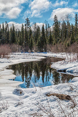Reflection by Linda Ryma