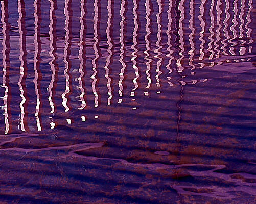 Wall Art featuring the photograph Reflection by Rona Black