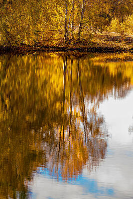 Golden Autumn Reflection Photograph