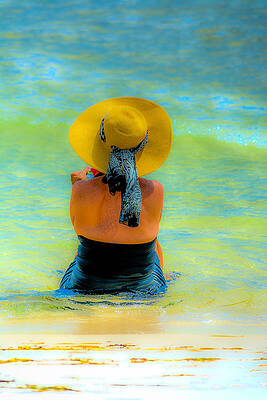 Natural Photograph - Relaxing At The Beach by David Morefield