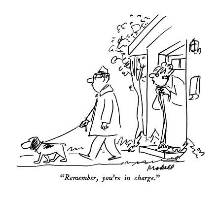 Man Walking Dog with Advice Drawing