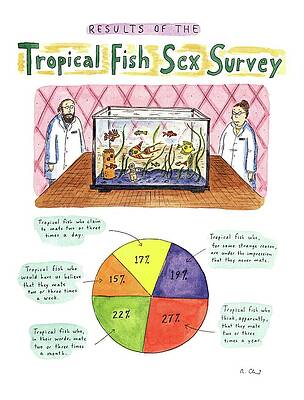 Chart Wall Art featuring the drawing Results Of The
Tropical Fish Sex Survey
17% by Roz Chast