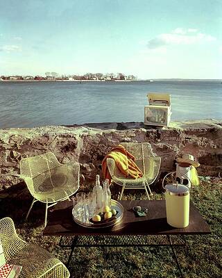 Sea Life Wall Art featuring the photograph Retro Outdoor Furniture by Fred Lyon