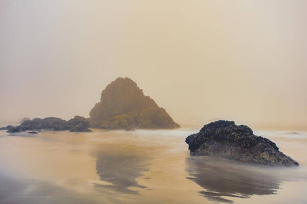 Wall Art featuring the photograph Reverie by Adam Mateo Fierro