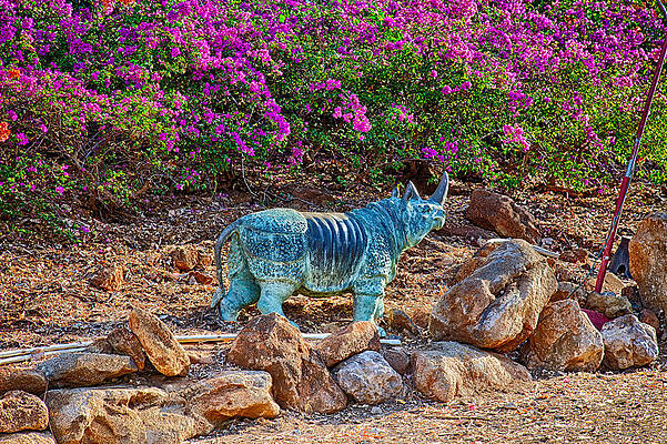 Wall Art featuring the photograph Rhino And Bougainvillea by Omaste Witkowski