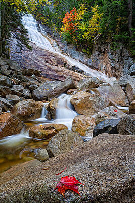 Photograph - Ripley Falls And Red Maple Leaf by Jeff Sinon