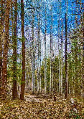 Spring Painting - River Run Trail At Arrowleaf by Omaste Witkowski