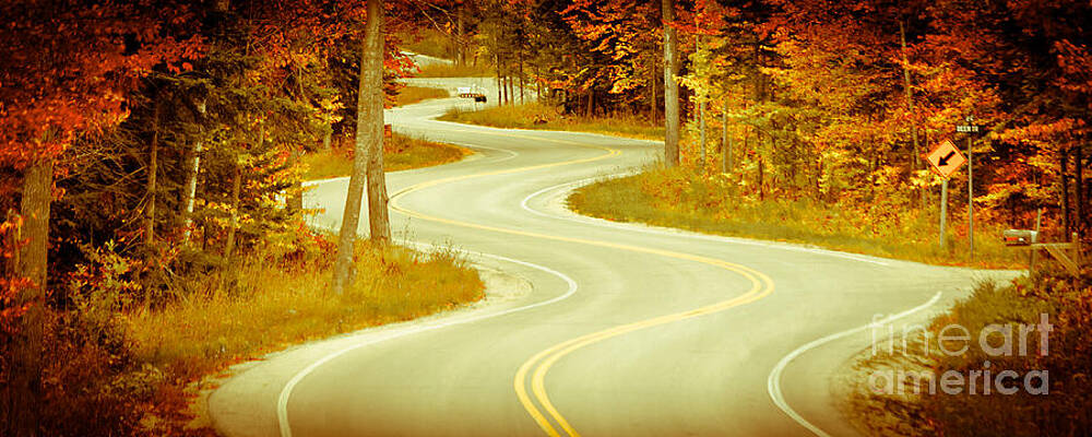 Wall Art featuring the photograph Road Bending Through The Trees by Duluth To Door County Photography