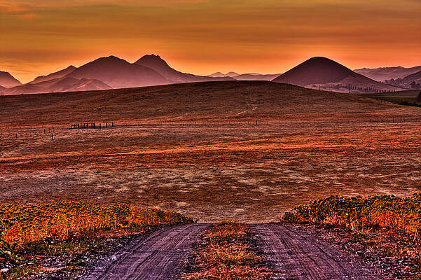 Country Wall Art featuring the photograph Road To Edna Valley by Beth Sargent