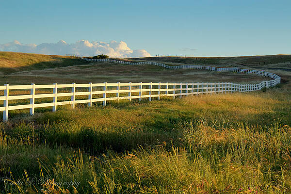 Wall Art featuring the photograph Road To The Plains by Carla E