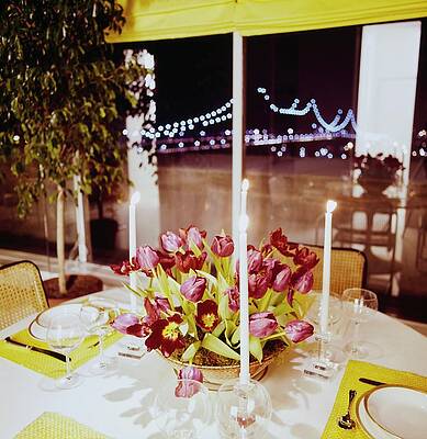 Bridge Photograph - Robert And Susan Brown's Dining Room by Horst P. Horst