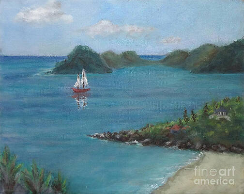 Robin's Favorite Beach by Carol DENMARK