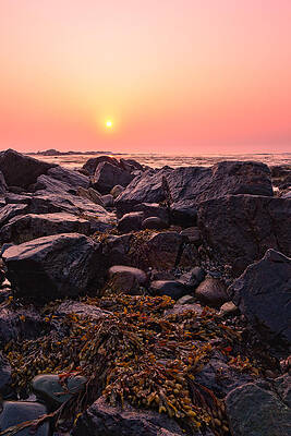 Sky Wall Art featuring the photograph Rocks And Seaweed Sunrise On The NH Seacoast by Jeff Sinon