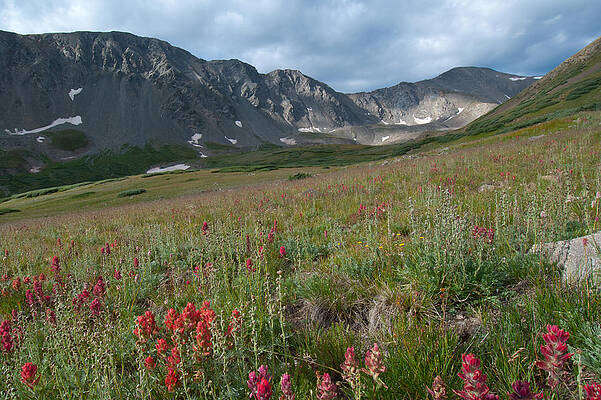 Colorado Photograph - Rocky Mountain Morning Landscape And Gray's Peak by Cascade Colors