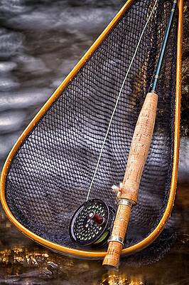 Wall Art featuring the photograph Rod Reel Net by Jeff Sinon