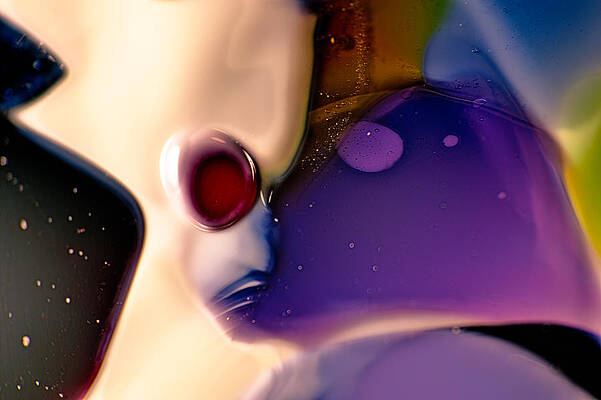 Wall Art featuring the photograph Roger by Omaste Witkowski