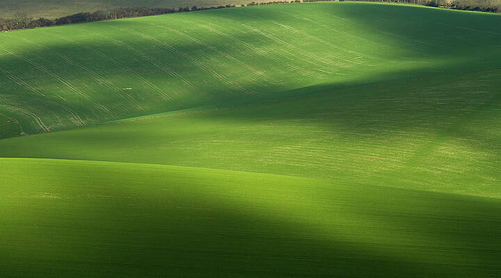Wall Art featuring the photograph Rolling Fields In South Downs National by A Chaitanya Deshpande
