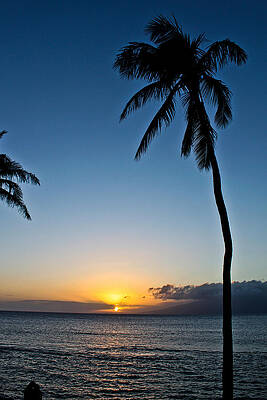 Wall Art featuring the photograph Romantic Maui Sunset by Joann Copeland-Paul