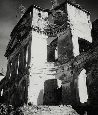 Growth Wall Art featuring the photograph Ruins In Haiti by Cecil Beaton