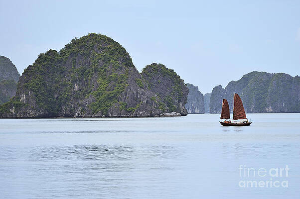 Transportation Wall Art featuring the photograph Sailing Junk Boats In Halong Bay by Sami Sarkis Photography