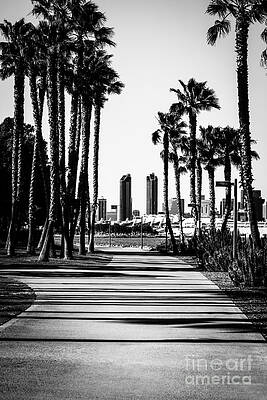 California Wall Art featuring the photograph San Diego Skyline From Coronado Island In Black And White by Paul Velgos