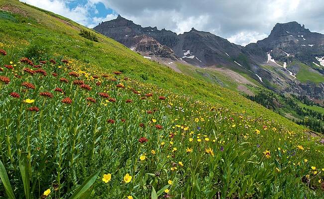 Colorado Photograph - San Juans Summer by Cascade Colors