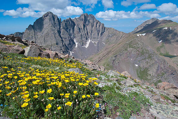 Colorado Photograph - Sangre De Cristos Crestone Peak And Wildflowers by Cascade Colors