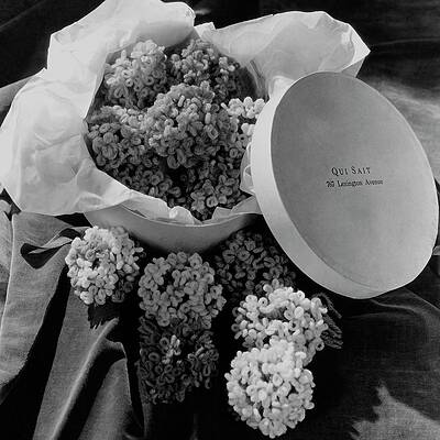 Elegant Box of Velvet Flowers Wall Art