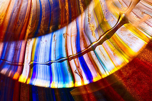 Wall Art featuring the photograph Scimitar by Omaste Witkowski