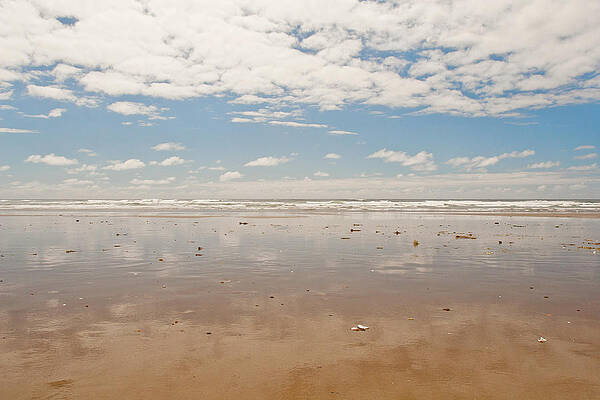 Wall Art featuring the photograph Sea And Sky by Lisa Chorny