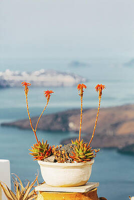 Wall Art featuring the photograph Sea View In  Santorini, Greece by Deimagine
