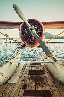 Vintage Seaplane at Dock Wall Art