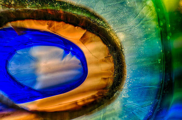 Photograph - Searching by Omaste Witkowski