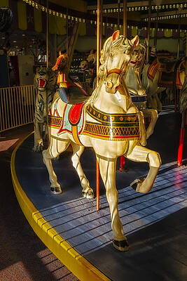 Vintage Carousel Horse in Sunlight Print