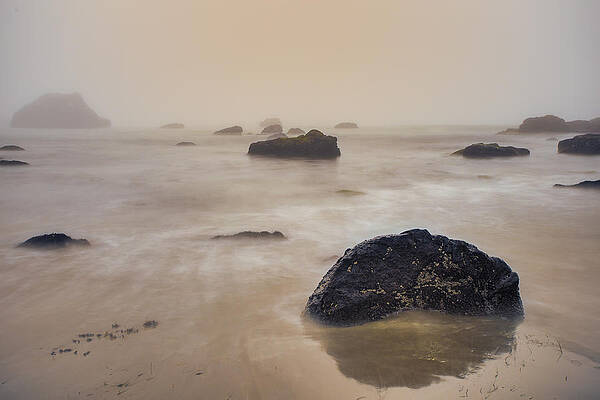 Photograph - Sehnsucht by Adam Mateo Fierro