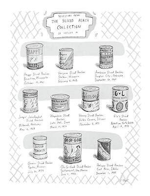 Slice Drawing - Selections From The Sliced Peach Collection by Roz Chast