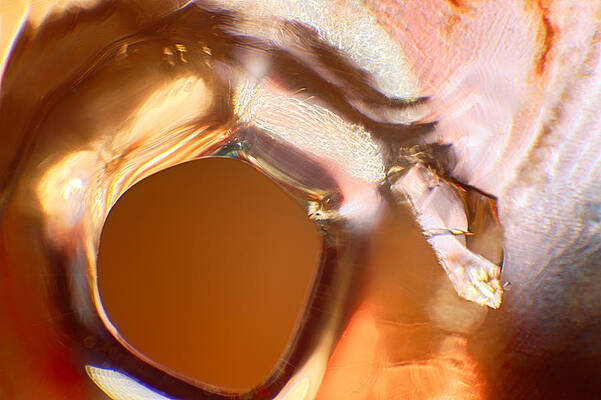 Photograph - Self Portrait by Omaste Witkowski