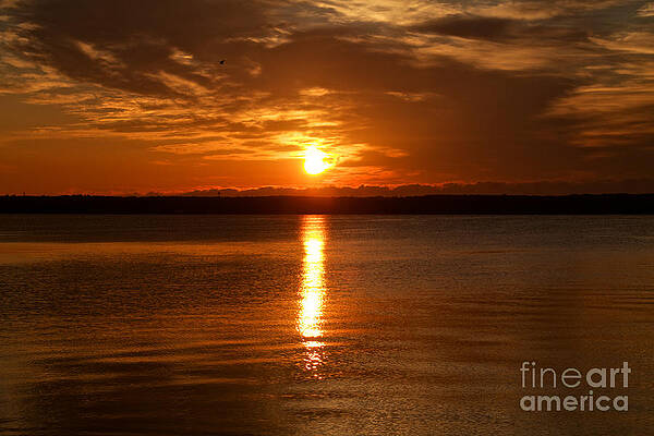 Sunrise Photograph - Seneca Sunrise by William Norton