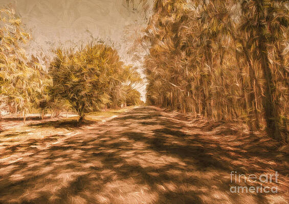 Country Painting - Shadows On Autumn Lane by Jorgo Photography