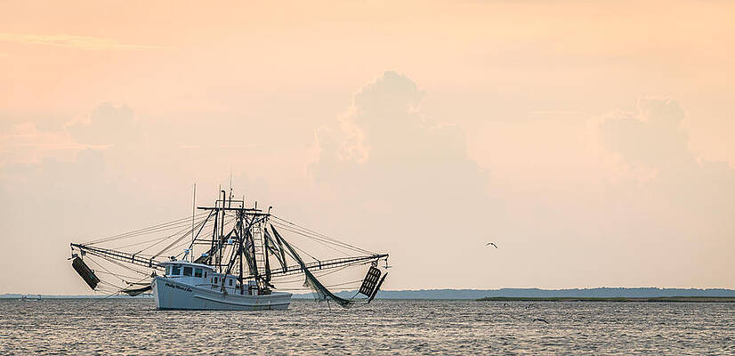 Wall Art featuring the photograph Shrimp Boat At Sunset - Edisto River Photograph by Duane Miller