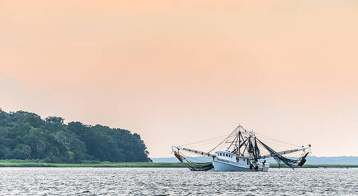 Wall Art featuring the photograph Shrimp Boat On The Edisto River - Fishing Boat Photograph by Duane Miller