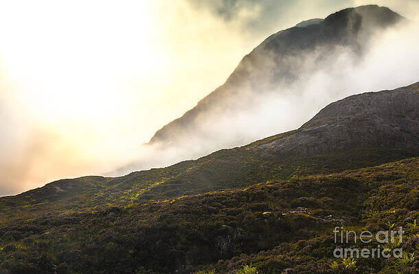 Peaceful Wall Art featuring the photograph Shrouded Shepherd by Kype Hills